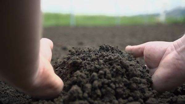 Healthy soil