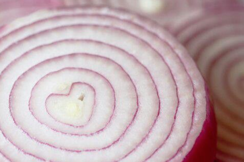 Layers of a onion