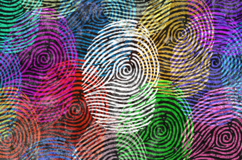 Identity fingerprints