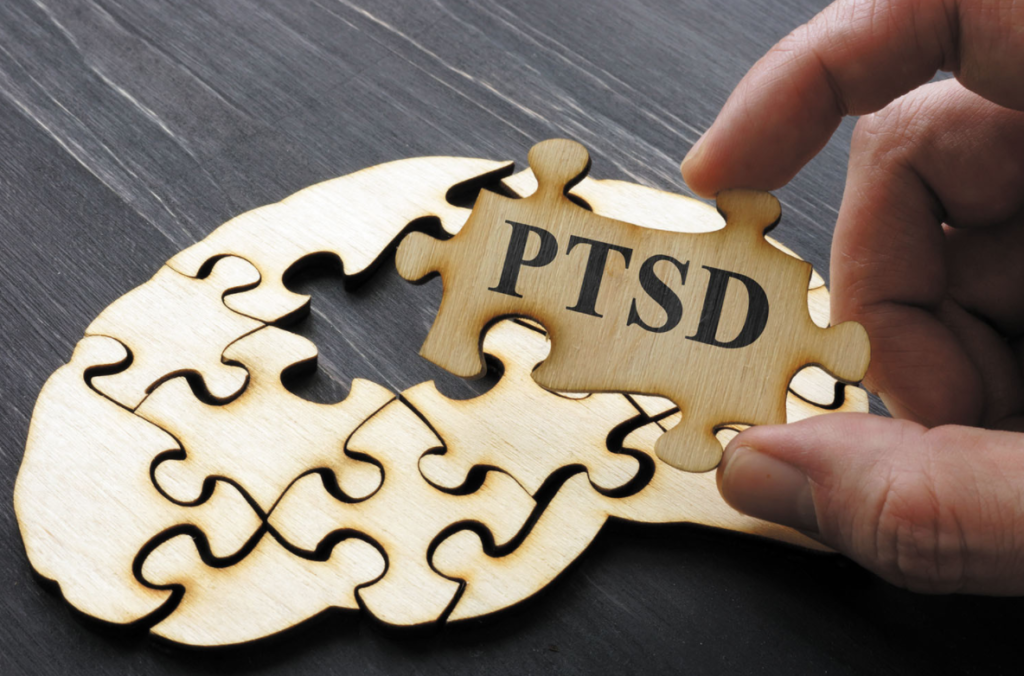 PTSD puzzle