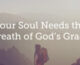 Soul needs