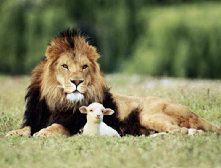 Lion and lamb lying down together