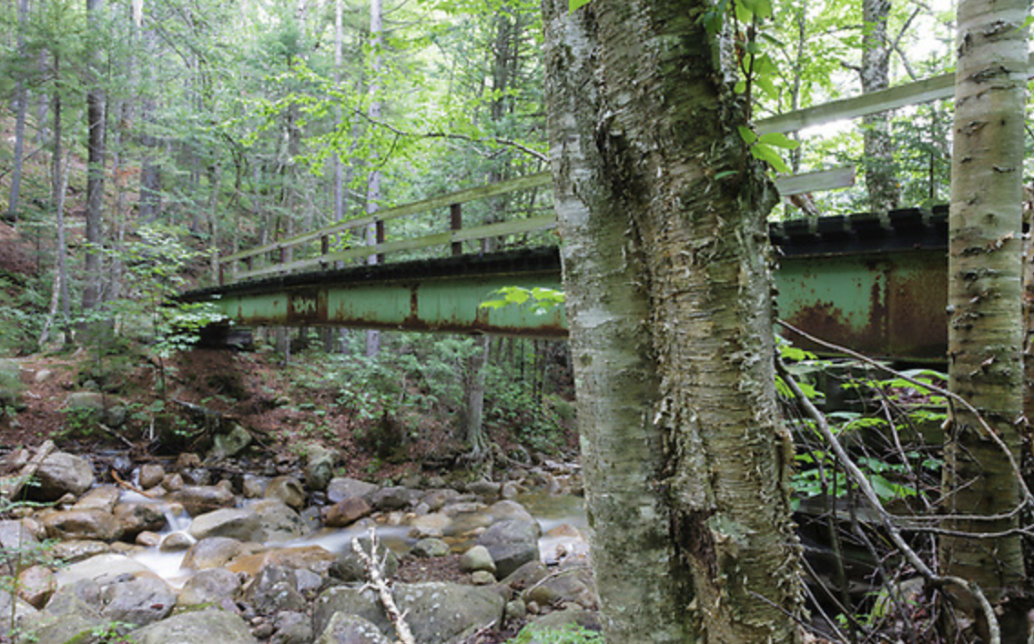 Bridge tucked away in wilderness