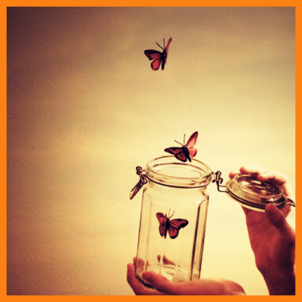 Butterflies set free from jar