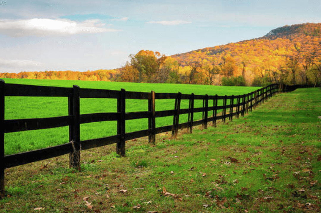 Fence dividing a field that is greener on the left side than the right